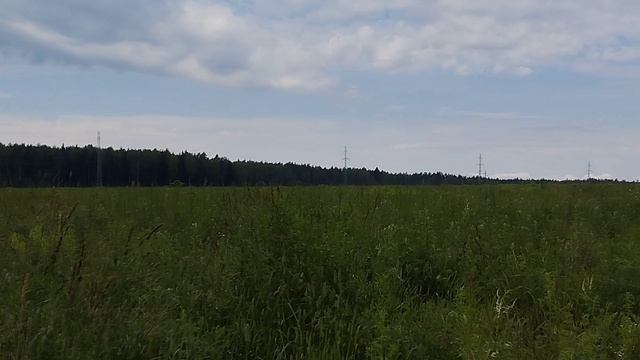 Торги на земельный участок с КН 50:04:0140604:738