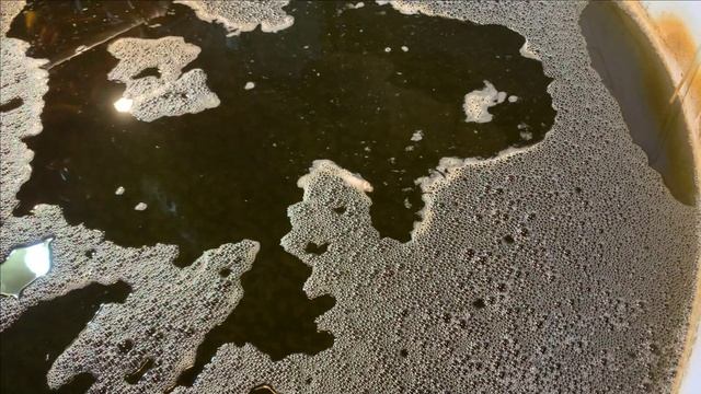 Гибель карпа КОИ.Пруд в гараже.