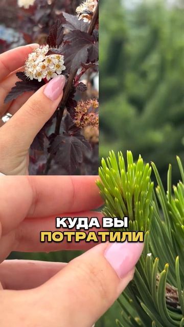 А у вас так же? 😅🪴