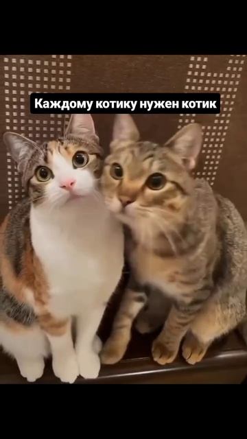 вместе