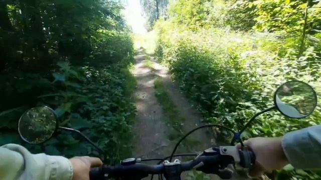 За лесной малиной на мотовелосипеде. 🤓🚴♂️👍