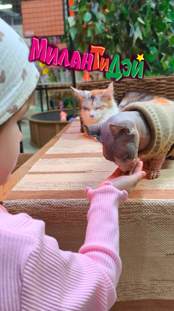 Выставка КОТЭ-1