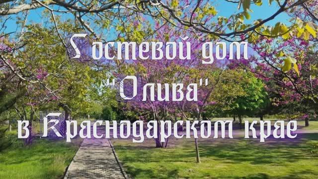 Гостевой дом «Олива» в Краснодарском крае