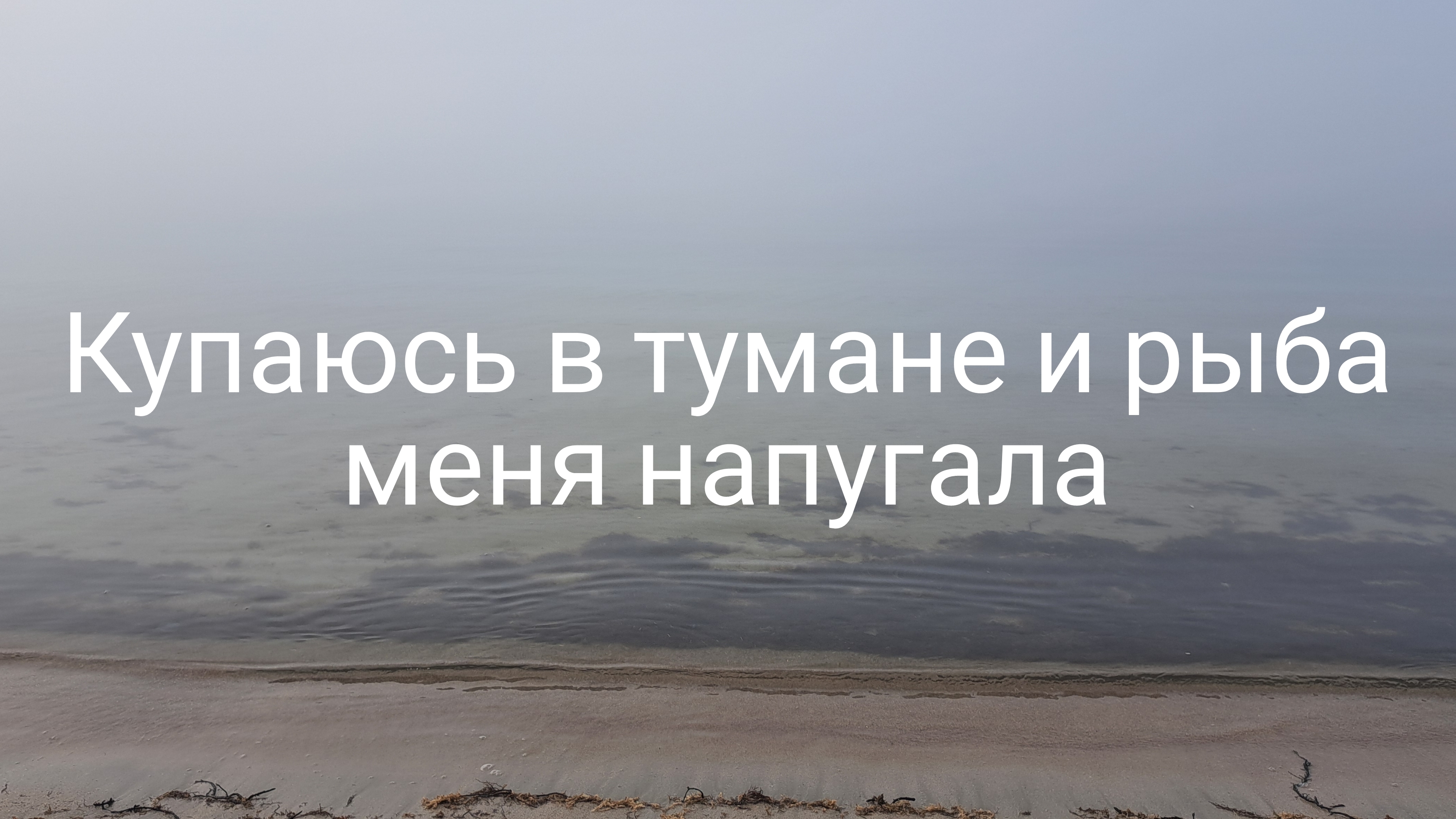 Туман на море в Крыму/ да ещё и рыба напугала