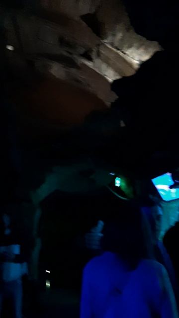 В ЗАТОНУВШЕМ ПИРАТСКОМ КОРАБЛЕ