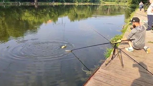 Поимка Карпа