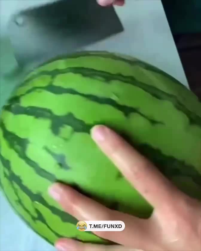 Сезон открыли — сезон закрыли🤣