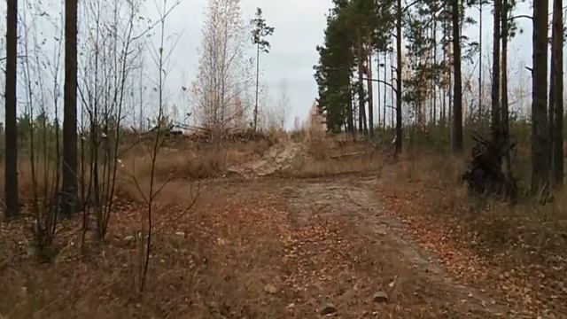 2020окт18-1 осень сормовских песков 1