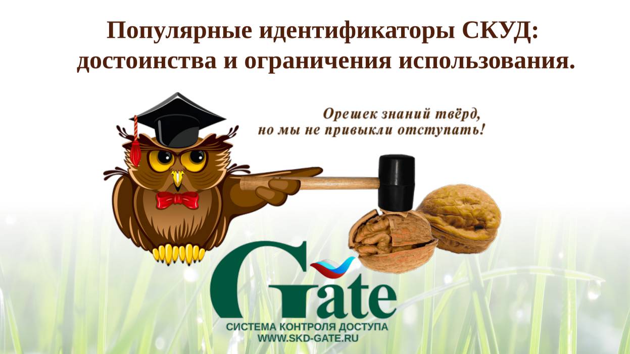 2025.Популярные идентификаторы СКУД: достоинства и ограничения использования