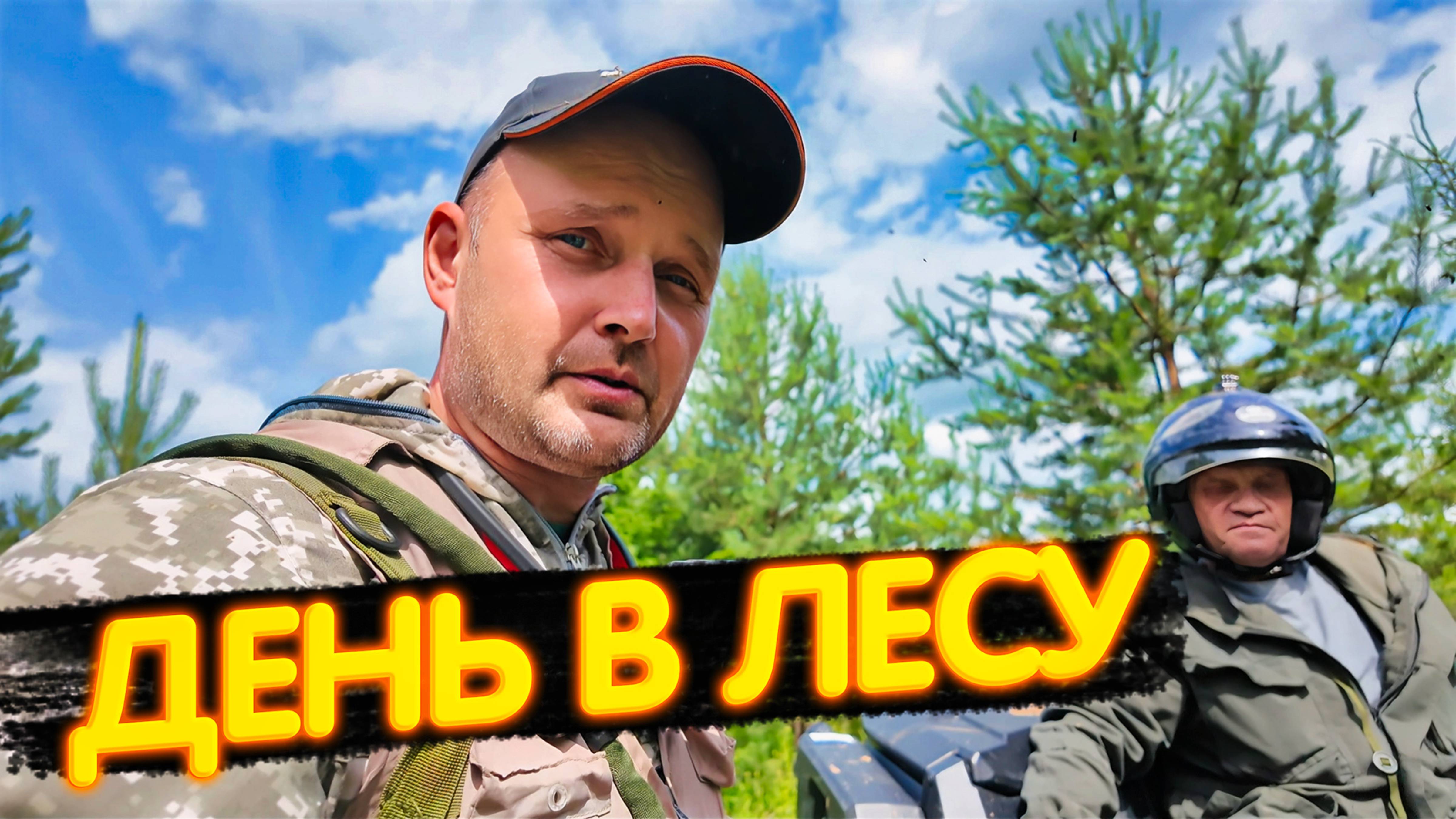 НЕОЖИДАННАЯ НАХОДКА В ЛЕСУ — РЫЖИКИ И ПОЛЯНА ДИКОЙ КЛУБНИКИ!