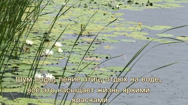 lv_0_20250708193947.mp4