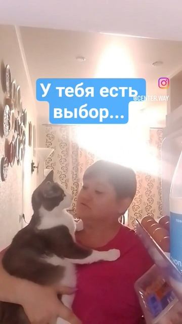 у тебя есть выбор .mp4