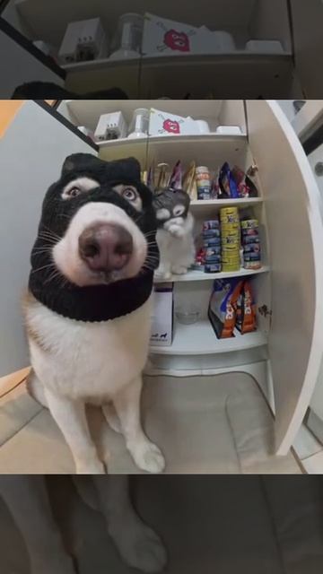 Мы бандито.