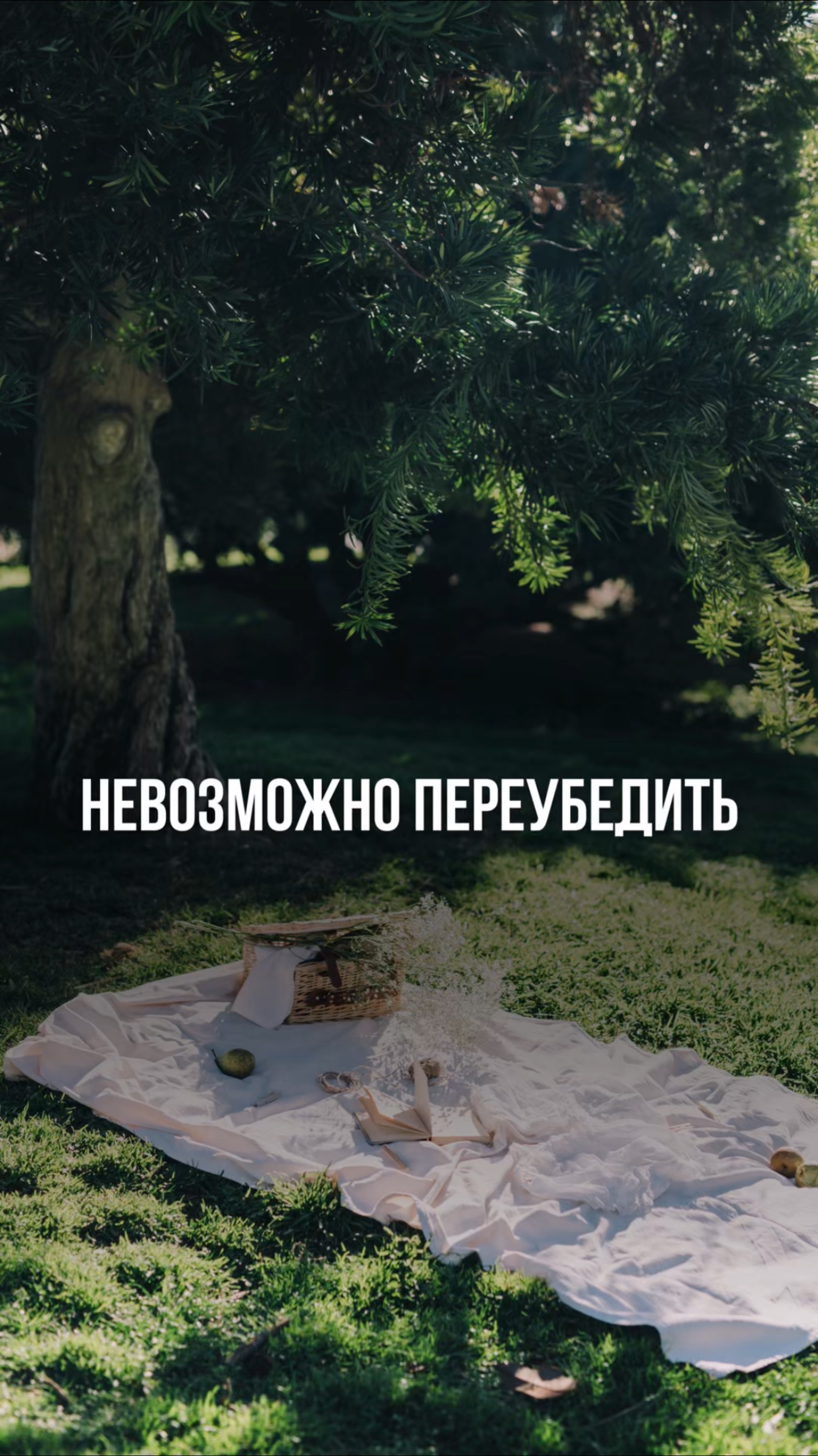 💬 Пиши в комментариях кодовое слово: ЭНЕРГИЯ — и я вышлю тебе еще больше полезной информации ✅