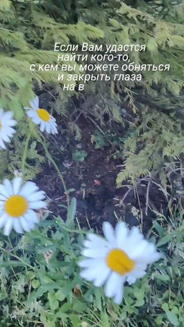 это точно счастье