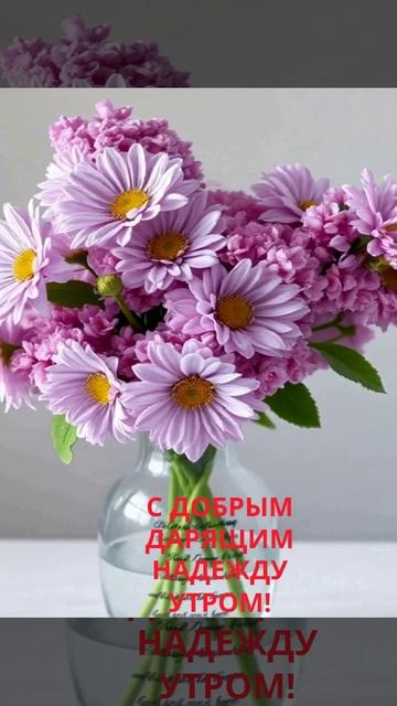 С добрым дарящим надежду утром!
