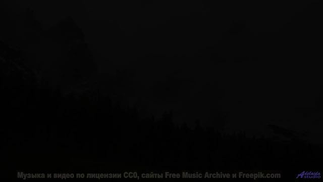 Эта мелодия заставит ваше сердце биться чаще - слушайте вместе! - Clocks -- Forget the Whale -- You.