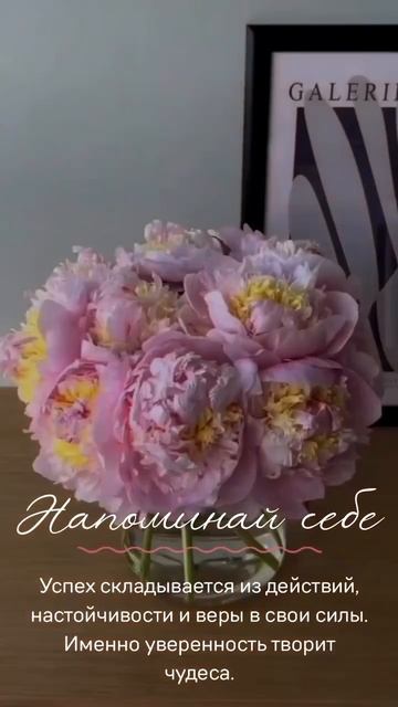Важное напоминание ✨ #мотивация #позитивноемышление #психология #силасознания #лайфкоуч