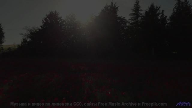 Самые завораживающие виды под хит года - Night Roses for Dario - Fast (ID 1697) -- Lobo Loco -- Sky