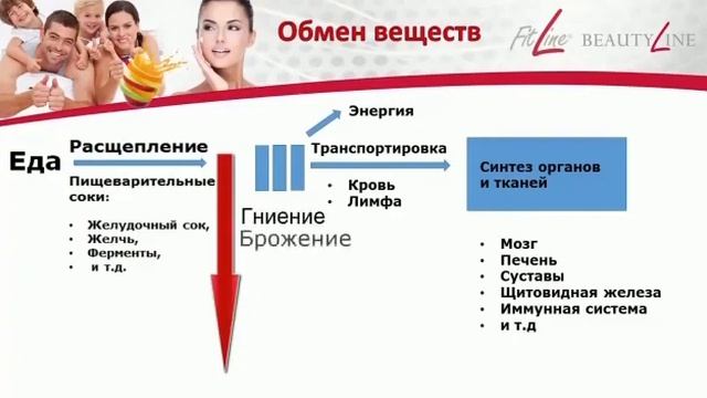 Мы то, что мы едим и усваиваем. FitLine - клеточное питание, которое усваивается на 90-99%