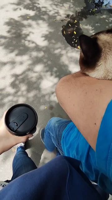 после прививки 🥺