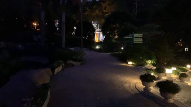 Япония- мечта каждого парня