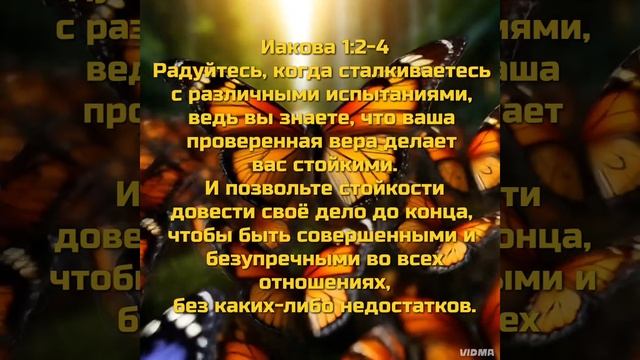 VID_20250710_023605_606.mp4