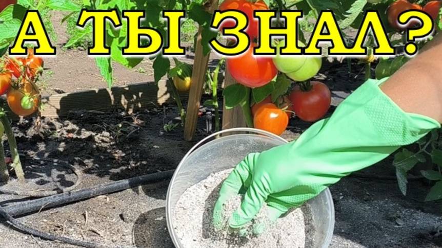 ВНИМАНИЕ ДАЧНИКИ! Работы на огороде в ИЮЛЕ 💪🔥🔥🔥