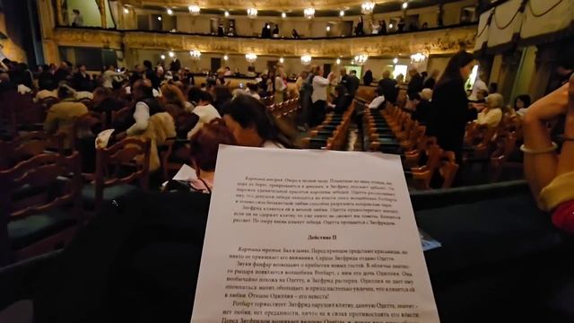Нам повезло, танцует Хорева! Балет _Лебединое озеро_ Мариинский театр. Саши огорчен, его не узнают.