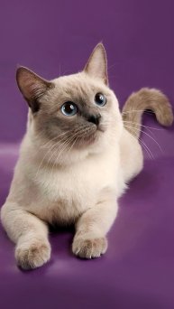 Вот как надо тянуться ☺️