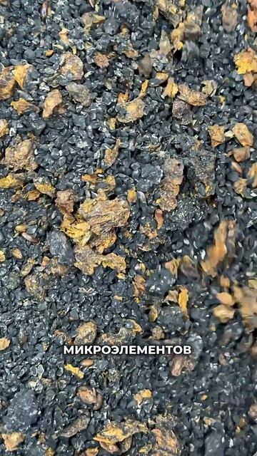 Тмин + облепиха: домашний иммунобустер за 2 минуты! #натуральныйпродукт