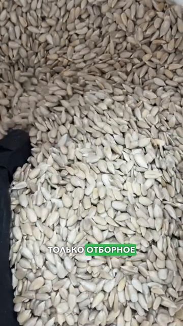 От элитной семечки до золотой капли — попробуйте подсолнечное масло, которого нет в магазинах!