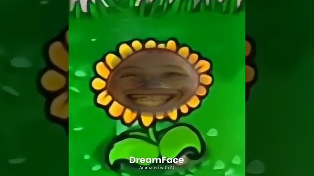 шо с звуком