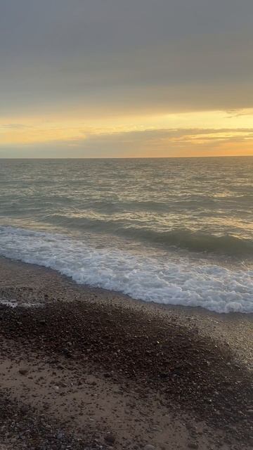 Куршская коса
2025