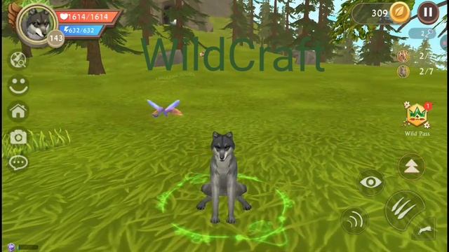WildCraft