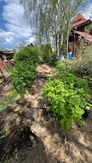 Мечта дачника: идеально организованный участок — это реально 😍