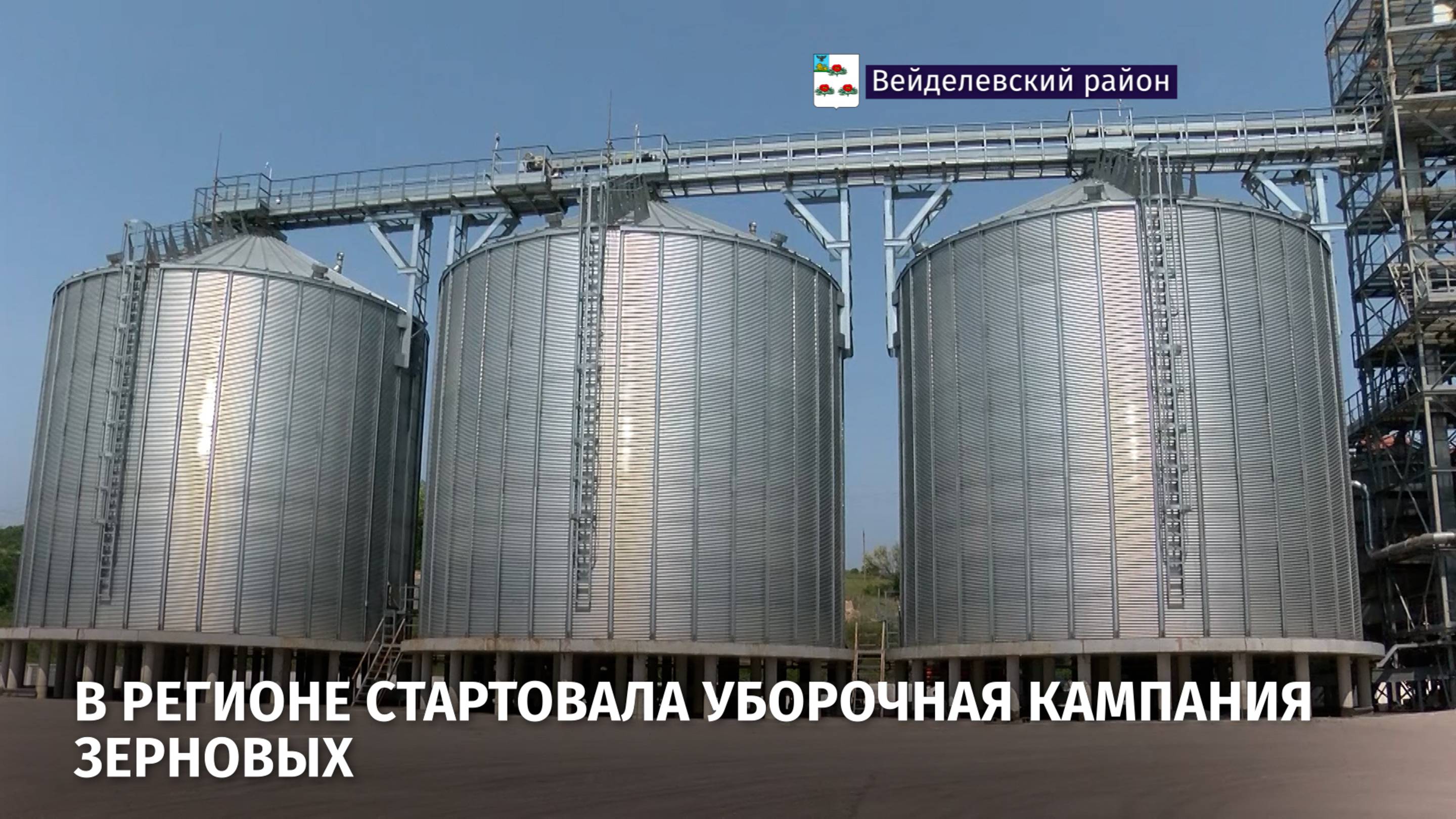 В регионе стартовала уборочная кампания зерновых