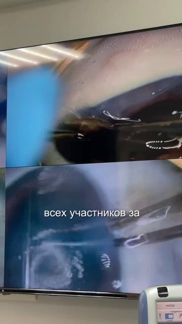 Базовый курс PD 17-21 августа