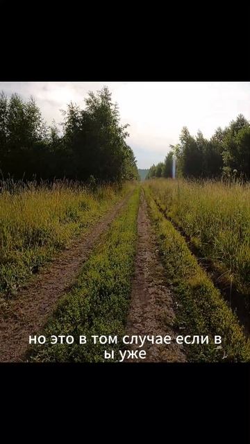 «Карта в голове»#сезонконтентаRUTUBE