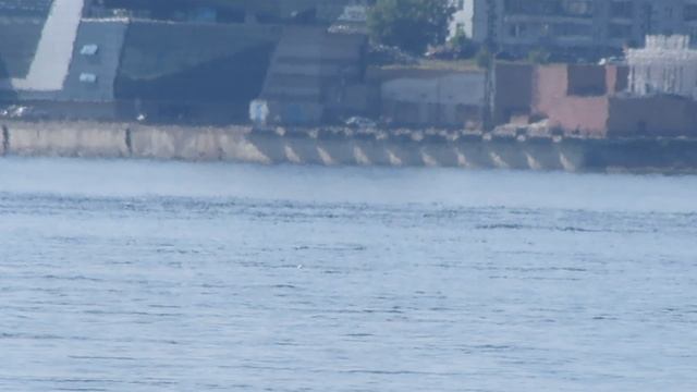 10.7.2025г Енисей 3 лодки - вид на левый берег Красноярска MVI_8905