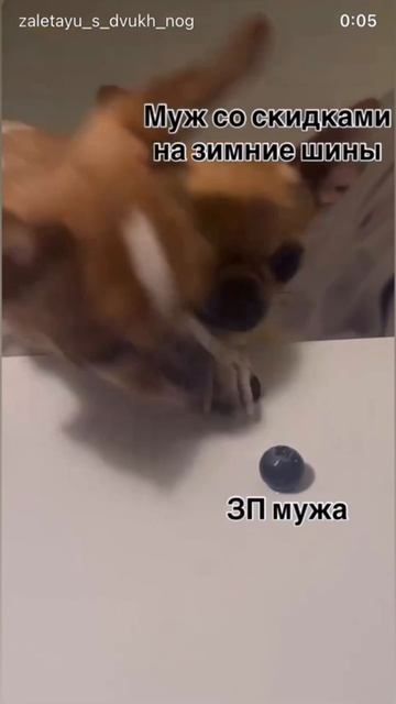 #4х4 #нива #2121