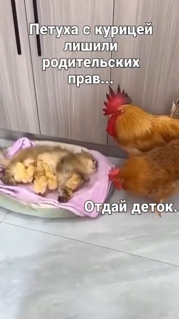 Лишили родительских прав