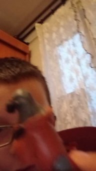 Брейн рот мемы из пластилина