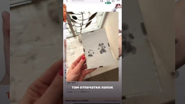 Обзор на классные находки для собак