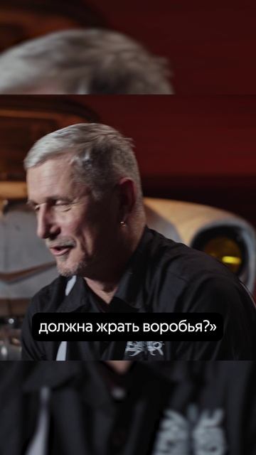 Вот почему «Белочка»