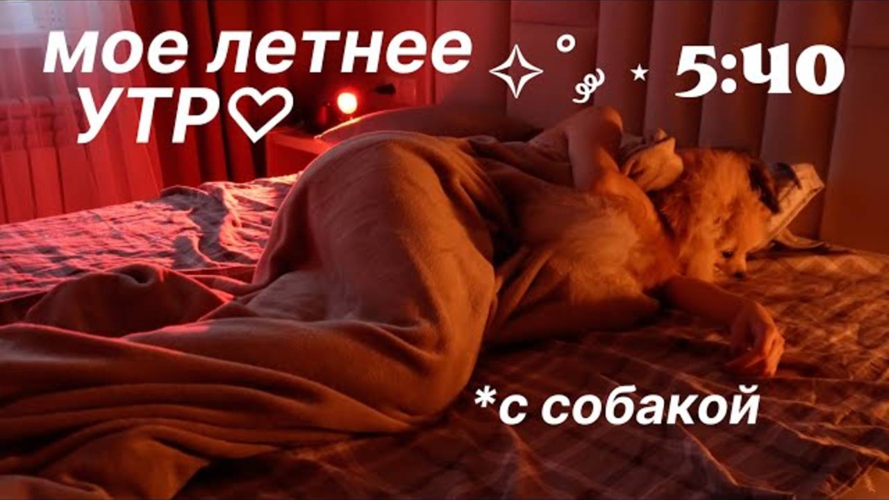 POLLY PIE|Мое РЕАЛЬНОЕ Летнее Утро с СОБАКОЙ