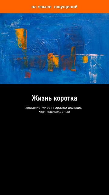 Жизнь коротка