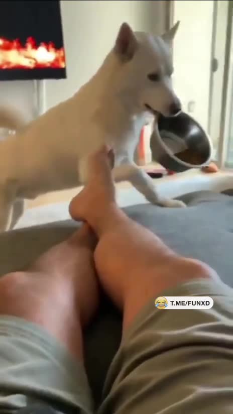 Так, давай подрубай фильм!😁