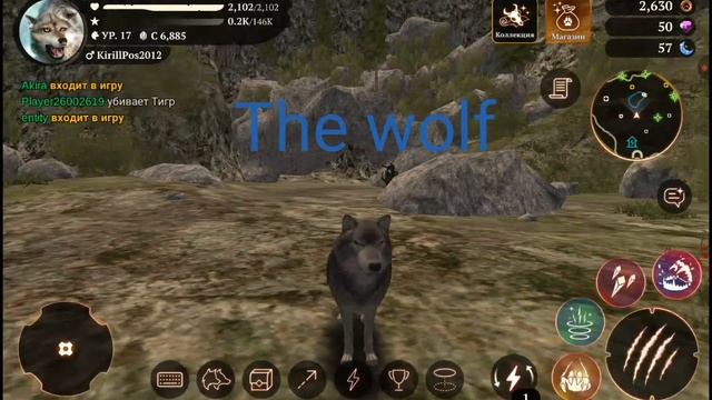 The wolf