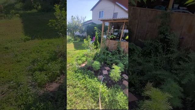 купила садовые качели
